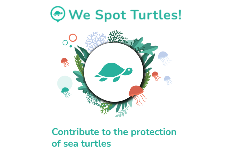 we spot turtles logo and text contribute to their protection